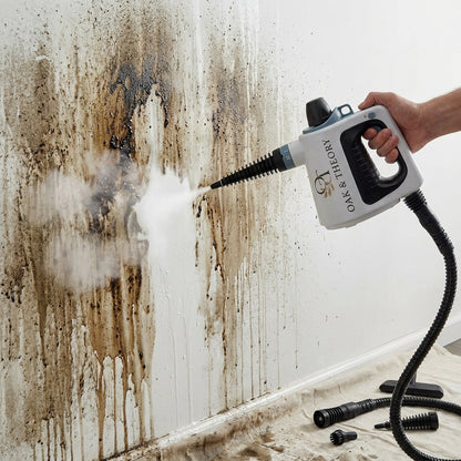 Oak & Theory Handheld Steam Cleaner
